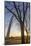 The Gateway Arch in St. Louis, Missouri at Sunrise. Jefferson Memorial-Jerry & Marcy Monkman-Mounted Photographic Print