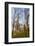 The Gateway Arch in St. Louis, Missouri. Jefferson National Memorial-Jerry & Marcy Monkman-Framed Photographic Print