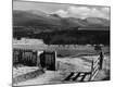 Photographic Print