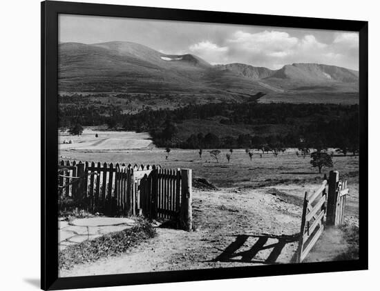 Photographic Print, , large