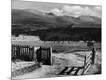 Photographic Print