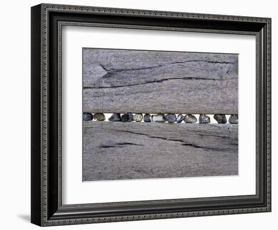 The Gathering-Gill Copeland-Framed Art Print