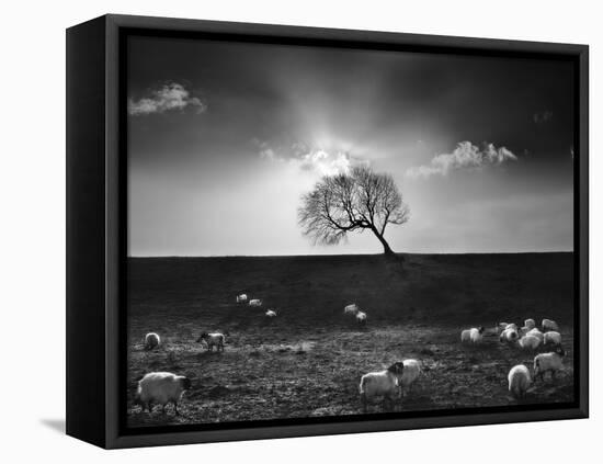 The Gathering-Martin Henson-Framed Premier Image Canvas