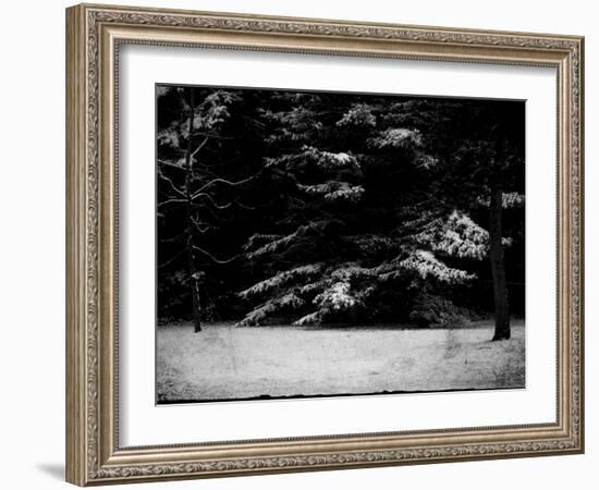 The Gathering-Sharon Wish-Framed Photographic Print