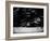 The Gathering-Sharon Wish-Framed Photographic Print