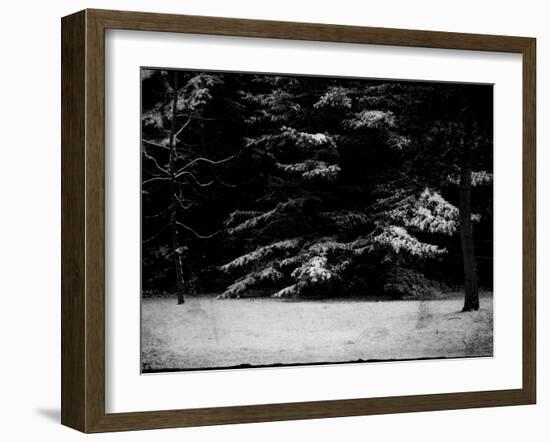 The Gathering-Sharon Wish-Framed Photographic Print