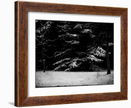 The Gathering-Sharon Wish-Framed Photographic Print