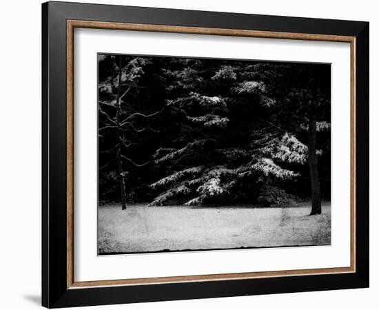 The Gathering-Sharon Wish-Framed Photographic Print