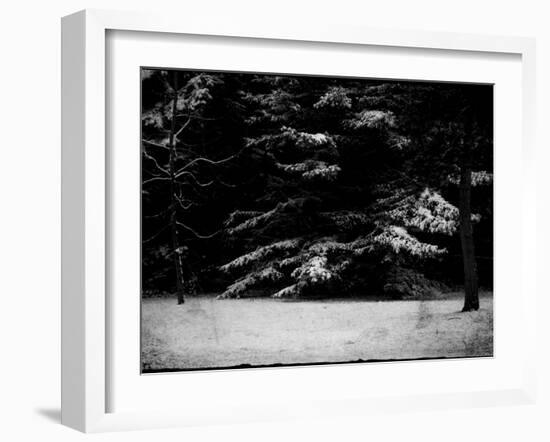 The Gathering-Sharon Wish-Framed Photographic Print