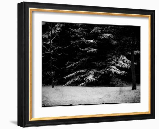 The Gathering-Sharon Wish-Framed Photographic Print