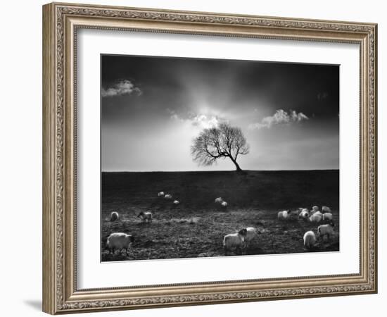 The Gathering-Martin Henson-Framed Photographic Print