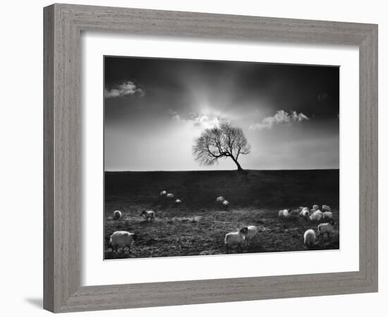 The Gathering-Martin Henson-Framed Photographic Print