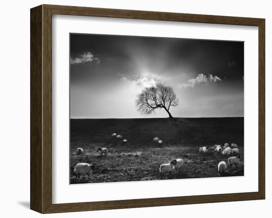 The Gathering-Martin Henson-Framed Photographic Print