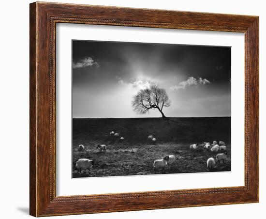 The Gathering-Martin Henson-Framed Photographic Print