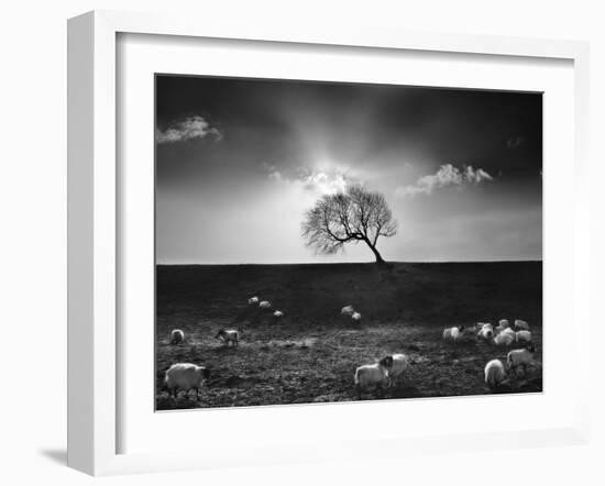 The Gathering-Martin Henson-Framed Photographic Print