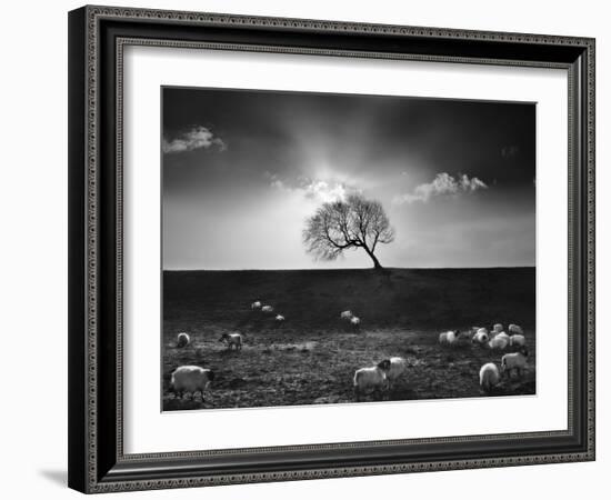 The Gathering-Martin Henson-Framed Photographic Print