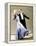 The Gay Divorce, Ginger Rogers, Fred Astaire, 1934-null-Framed Stretched Canvas