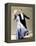 The Gay Divorce, Ginger Rogers, Fred Astaire, 1934-null-Framed Stretched Canvas