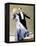 The Gay Divorce, Ginger Rogers, Fred Astaire, 1934-null-Framed Stretched Canvas