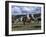 The Geeburg Polo Match, Bushmen Versus Melbourne Polo Club, Australia-Claire Leimbach-Framed Photographic Print