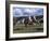 The Geeburg Polo Match, Bushmen Versus Melbourne Polo Club, Australia-Claire Leimbach-Framed Photographic Print