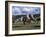 The Geeburg Polo Match, Bushmen Versus Melbourne Polo Club, Australia-Claire Leimbach-Framed Photographic Print