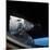 The Gemini 7 Spacecraft in Earth Orbit-Stocktrek Images-Mounted Photographic Print