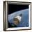 The Gemini-Titan 7 Spacecraft in Earth Orbit-Stocktrek Images-Framed Photographic Print