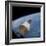 The Gemini-Titan 7 Spacecraft in Earth Orbit-Stocktrek Images-Framed Photographic Print