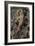 The Genius of Fame-Annibale Carracci-Framed Giclee Print