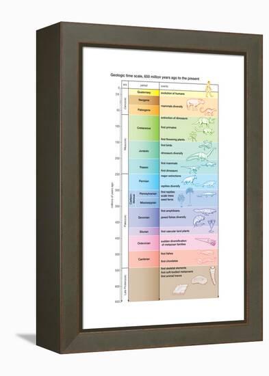 The geologic time scale from 700,000,000 years ago to the present-Encyclopaedia Britannica-Framed Stretched Canvas