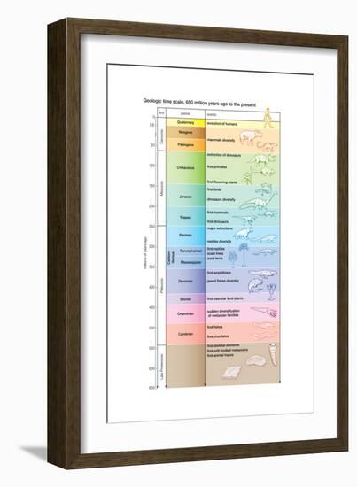 The geologic time scale from 700,000,000 years ago to the present-Encyclopaedia Britannica-Framed Art Print