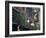 The George Pub, Strand, London, England, United Kingdom-Charles Bowman-Framed Photographic Print