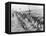 'The German advance through Galicia: A bivouac of troops by the roadside', 1915-Unknown-Framed Premier Image Canvas