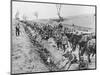 'The German advance through Galicia: A bivouac of troops by the roadside', 1915-Unknown-Mounted Photographic Print