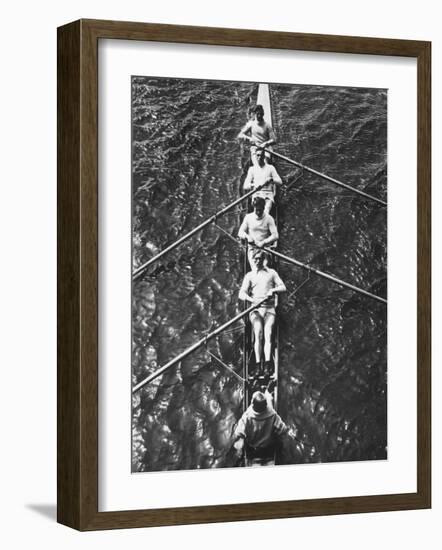 The German Olympic 4 Man Rowing Team with Cox in 1932-Robert Hunt-Framed Photographic Print