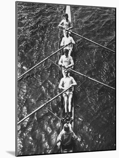 The German Olympic 4 Man Rowing Team with Cox in 1932-Robert Hunt-Mounted Photographic Print