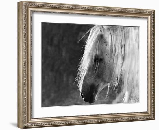 The Ghost-Barry Hart-Framed Art Print