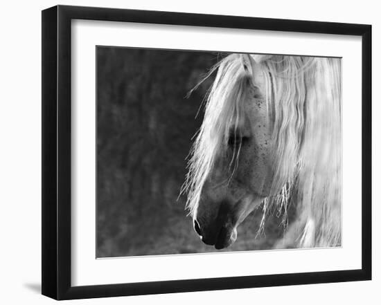 The Ghost-Barry Hart-Framed Art Print