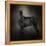 The Giant Black Schnauzer-Jai Johnson-Framed Premier Image Canvas