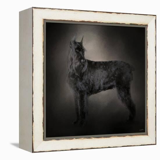 The Giant Black Schnauzer-Jai Johnson-Framed Premier Image Canvas