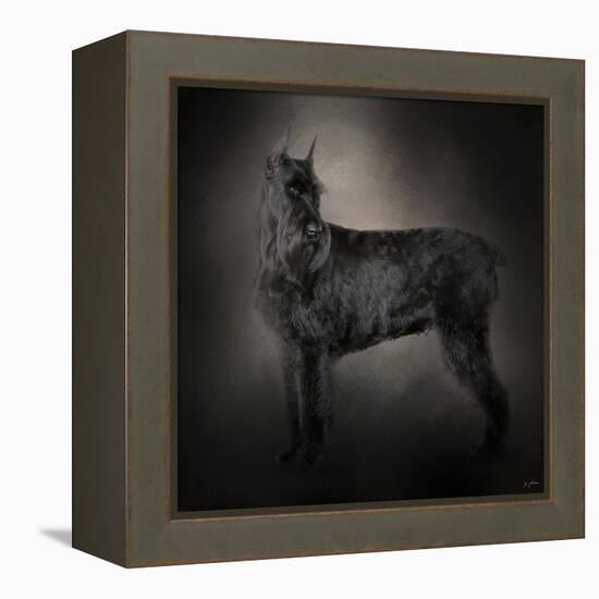 The Giant Black Schnauzer-Jai Johnson-Framed Premier Image Canvas