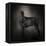 The Giant Black Schnauzer-Jai Johnson-Framed Premier Image Canvas