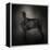The Giant Black Schnauzer-Jai Johnson-Framed Premier Image Canvas