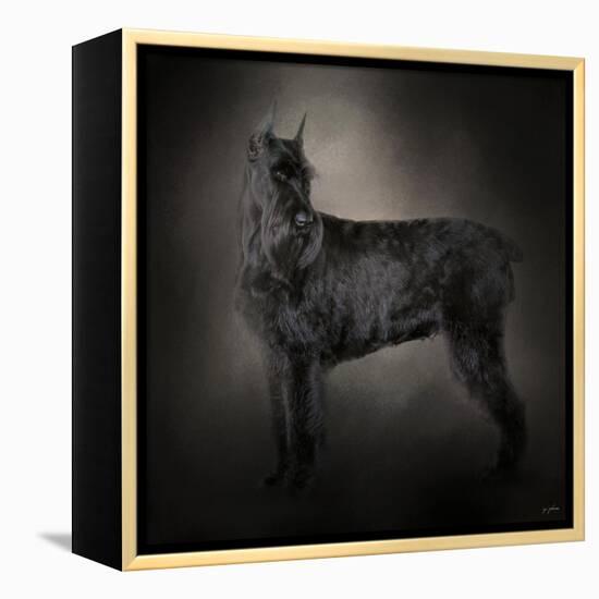 The Giant Black Schnauzer-Jai Johnson-Framed Premier Image Canvas