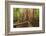 The Giant Fig Tree on the Atherton Tablelands Is a Popular Tourist Destination in Queensland-Paul Dymond-Framed Photographic Print