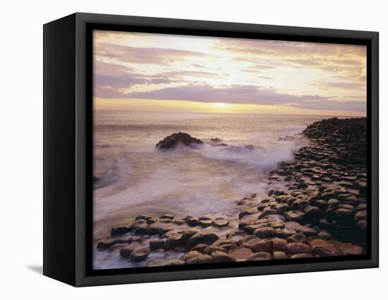 The Giant's Causeway, County Antrim, Ulster, Northern Ireland, UK, Europe-Roy Rainford-Framed Premier Image Canvas