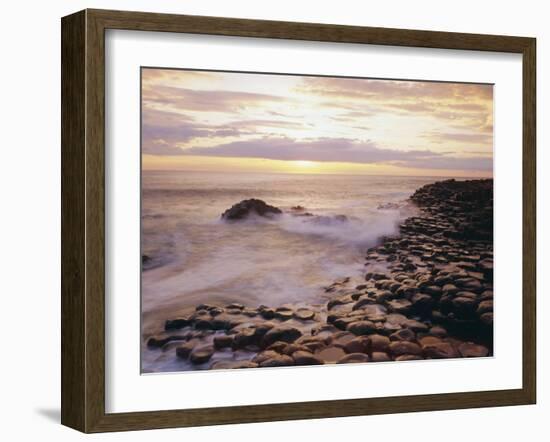 The Giant's Causeway, County Antrim, Ulster, Northern Ireland, UK, Europe-Roy Rainford-Framed Photographic Print