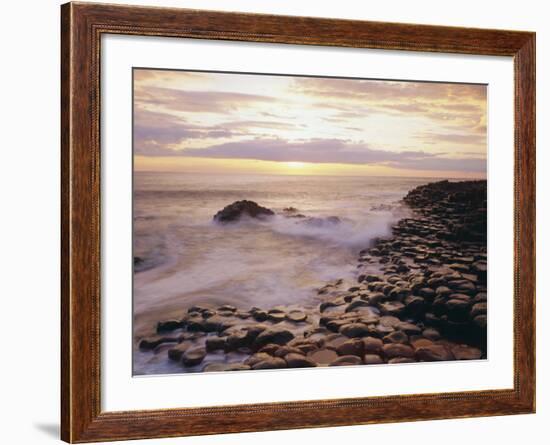 The Giant's Causeway, County Antrim, Ulster, Northern Ireland, UK, Europe-Roy Rainford-Framed Photographic Print