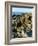 The Giant's Causeway, Unesco World Heritage Site, County Antrim, Northern Ireland-Bruno Barbier-Framed Photographic Print